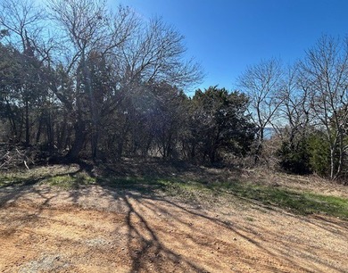 Great Lot with distant water view, partially cleared, backs up - photo 4