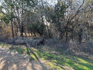 Great Lot with distant water view, partially cleared, backs up - photo 6