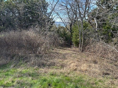 Great Lot with distant water view, partially cleared, backs up - photo 8