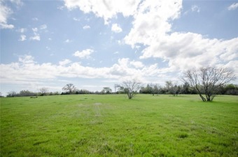 Beautiful lake view property! - Lake Lot For Sale in Streetman, Texas