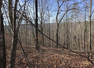 Freedom Lake  Acreage For Sale in Dunlap Tennessee