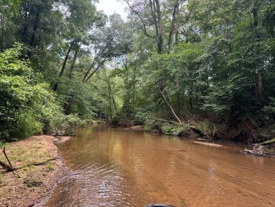 (private lake, pond, creek) Acreage For Sale in Hamilton Georgia