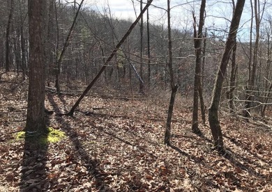 Welcome to your serene escape at 0 Chestnut Oak Drive, Unit 309 - photo 2