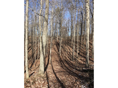Welcome to your serene escape at 0 Chestnut Oak Drive, Unit 309 - photo 3