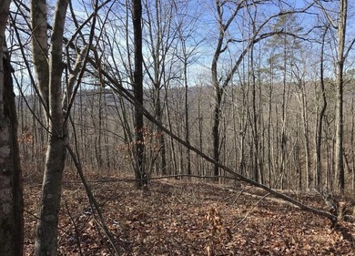 Welcome to your serene escape at 0 Chestnut Oak Drive, Unit 309 - photo 4