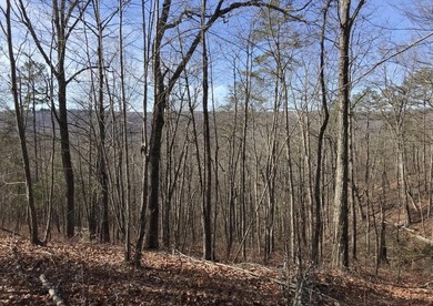 Welcome to your serene escape at 0 Chestnut Oak Drive, Unit 309 - photo 5