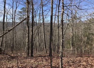 Welcome to your serene escape at 0 Chestnut Oak Drive, Unit 309 - photo 6