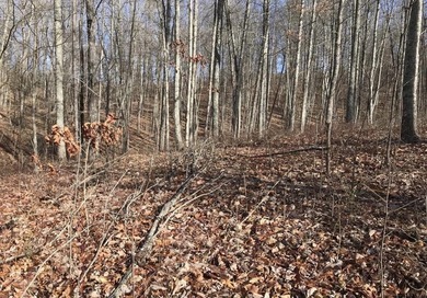 Welcome to your serene escape at 0 Chestnut Oak Drive, Unit 309 - photo 7