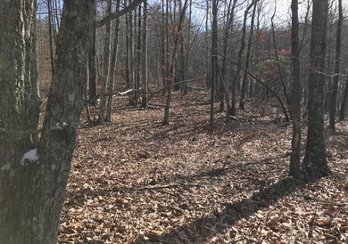 Welcome to your serene escape at 0 Chestnut Oak Drive, Unit 309 - photo 8