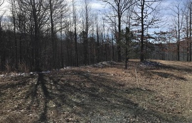 Welcome to your serene escape at 0 Chestnut Oak Drive, Unit 309 - photo 9