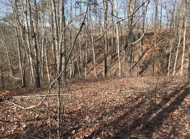 Welcome to your serene escape at 0 Chestnut Oak Drive, Unit 309 - photo 10