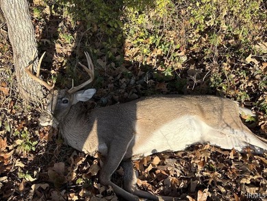 19 Acres for Sale in Warrick County, Indiana - Premier Hunting & - photo 13