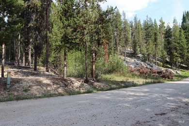 Your Oasis in the backcounty. Located along the Secesh River in - photo 13
