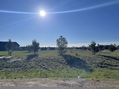 Lot 359 on Island Lake in the Copper Point development just off - photo 4
