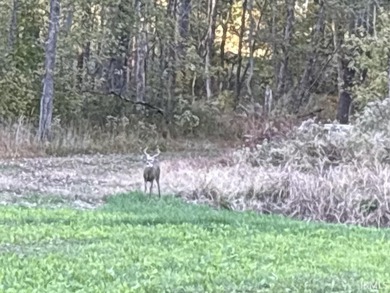 19 Acres for Sale in Warrick County, Indiana - Premier Hunting & - photo 15