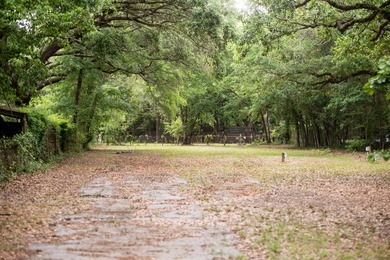 Build 2 homes + 2 detached guest houses minutes from Destin with - photo 19