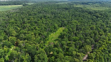 19 Acres for Sale in Warrick County, Indiana - Premier Hunting & - photo 24