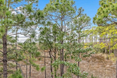 Located within the popular Sandestin Golf and Beach Resort, this - photo 33