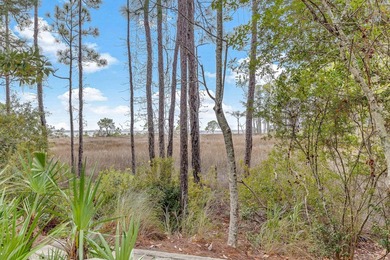 Located within the popular Sandestin Golf and Beach Resort, this - photo 34