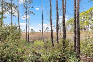 Located within the popular Sandestin Golf and Beach Resort, this - photo 35
