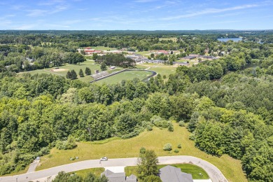 (private lake, pond, creek) Lot For Sale in Hart Michigan