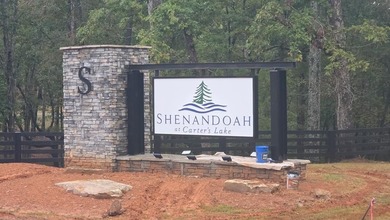 Carters Lake Acreage For Sale in Ellijay Georgia