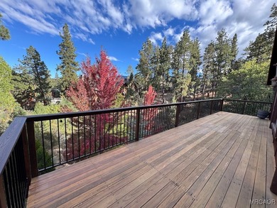 Beautiful Log-Style Mountain Home in prime Castle Glen Big Bear - photo 16