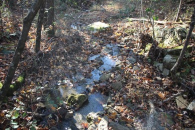 Lake Acreage For Sale in Jerusalem, Arkansas