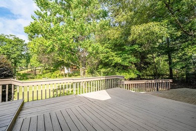 **PRICED TO SELL!!** Located in Chapin's sought after lakefront - photo 39