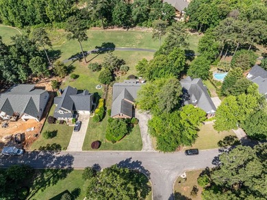 **PRICED TO SELL!!** Located in Chapin's sought after lakefront - photo 45