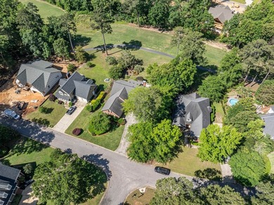 **PRICED TO SELL!!** Located in Chapin's sought after lakefront - photo 46