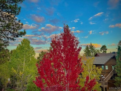 Beautiful Log-Style Mountain Home in prime Castle Glen Big Bear - photo 47