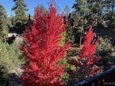 Beautiful Log-Style Mountain Home in prime Castle Glen Big Bear - photo 48