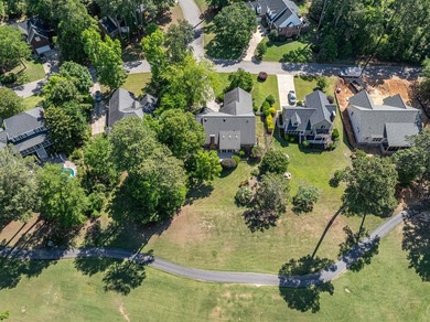 **PRICED TO SELL!!** Located in Chapin's sought after lakefront - photo 48