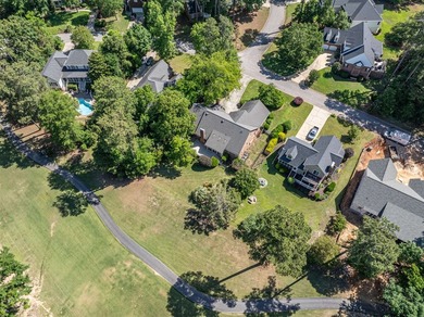 **PRICED TO SELL!!** Located in Chapin's sought after lakefront - photo 49