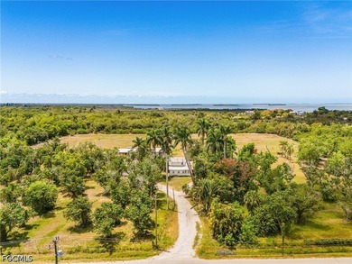 Set within the historic heart of Pineland, this extraordinary 9 - photo 1