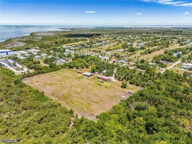 Set within the historic heart of Pineland, this extraordinary 9 - photo 6