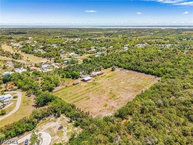 Set within the historic heart of Pineland, this extraordinary 9 - photo 10
