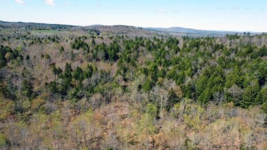 Lake Acreage For Sale in Dedham, Maine