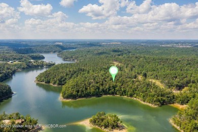 Smith Lake (Coon Creek) 9+ acres with over 1900 ft of deep - Lake Acreage For Sale in Bremen, Alabama