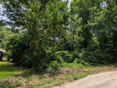 LAKEFRONT LOT ON LAKE VAGABOND Build your dream getaway or - photo 1
