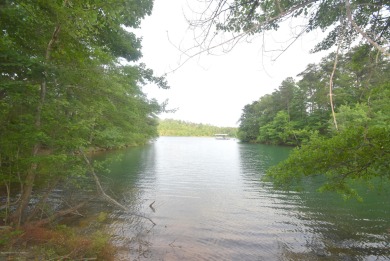 SMITH LAKE/MAIN CHANNEL-This lot is located in Bankhead Pointe - Lake Lot For Sale in Double Springs, Alabama