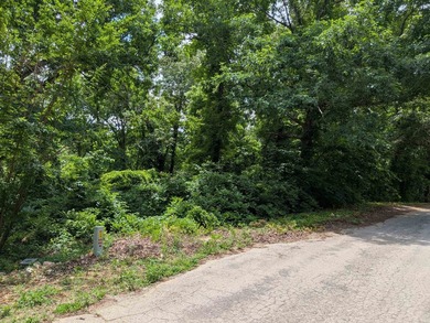 LAKEFRONT LOT ON LAKE VAGABOND Build your dream getaway or - photo 2