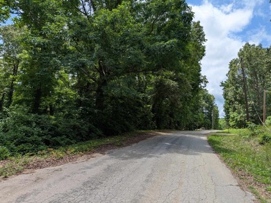 LAKEFRONT LOT ON LAKE VAGABOND Build your dream getaway or - photo 3