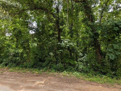 LAKEFRONT LOT ON LAKE VAGABOND Build your dream getaway or - photo 4