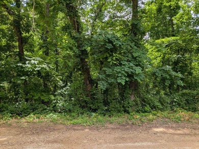 LAKEFRONT LOT ON LAKE VAGABOND Build your dream getaway or - photo 5