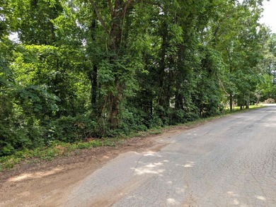 LAKEFRONT LOT ON LAKE VAGABOND Build your dream getaway or - photo 6