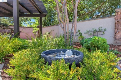 Welcome to 408 Cabonia Ct, a stunning contemporary single-family - photo 50