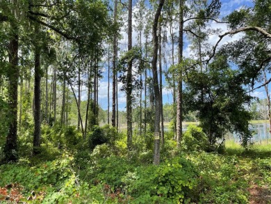 Crystal Lake - Marion County Acreage For Sale in Ocklawaha Florida