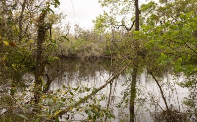 Suwannee River - Lafayette County Lot Sale Pending in Live Oak Florida